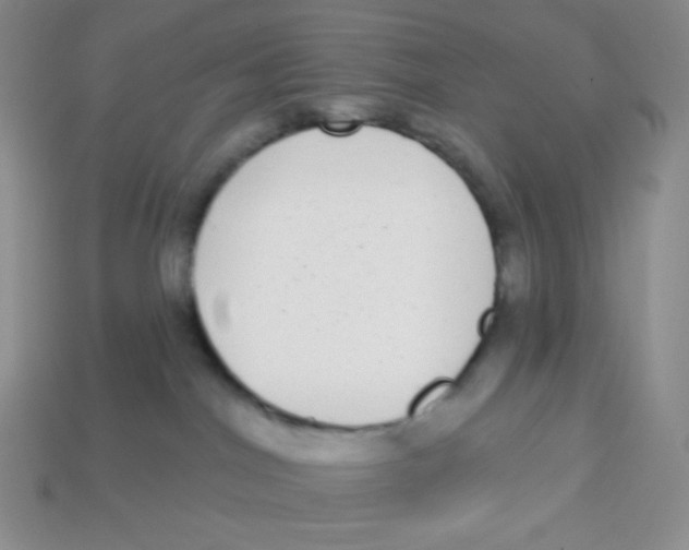 X0000113280044200910131015