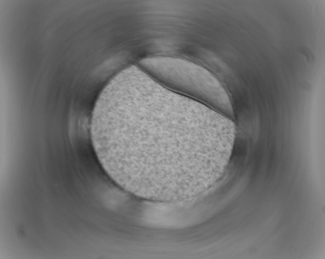 X0000113280045200910131015