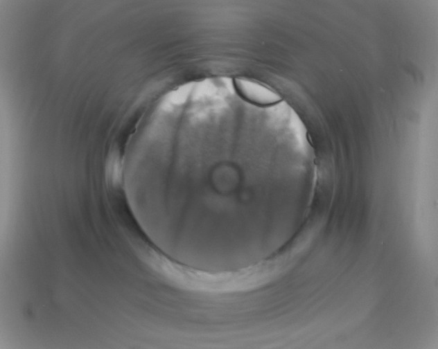 X0000113280046200910131015