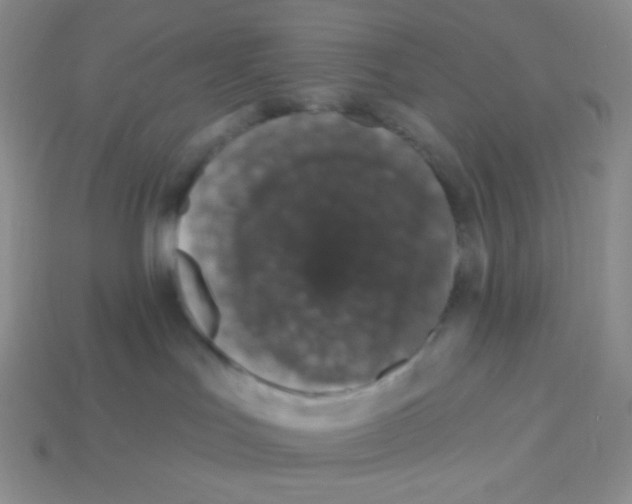 X0000113280047200910131015
