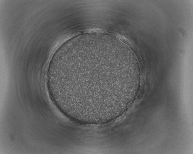 X0000113280049200910131014
