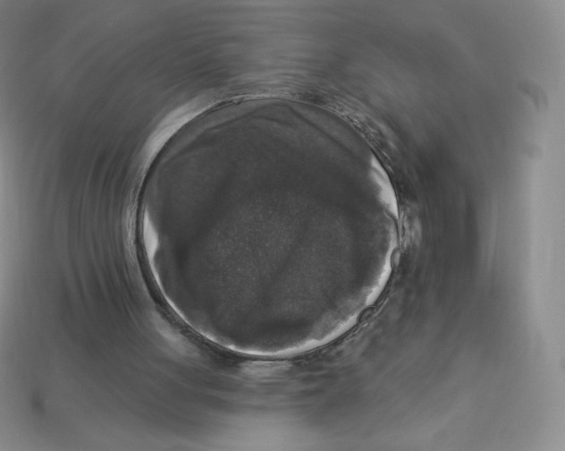 X0000113280051200910131014