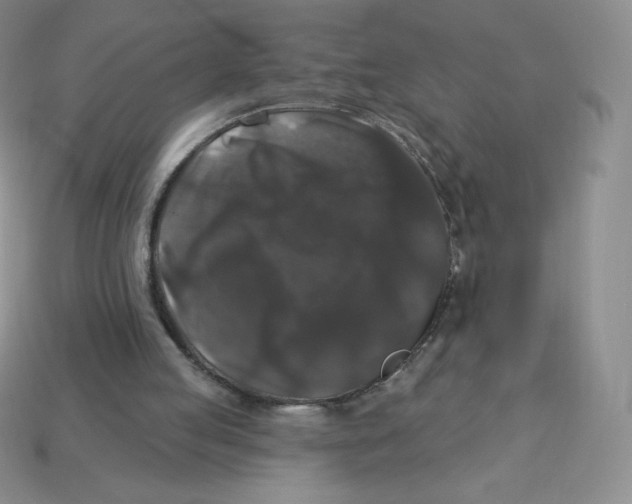 X0000113280053200910131014