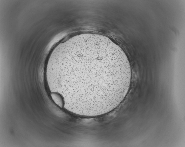X0000113280054200910131014