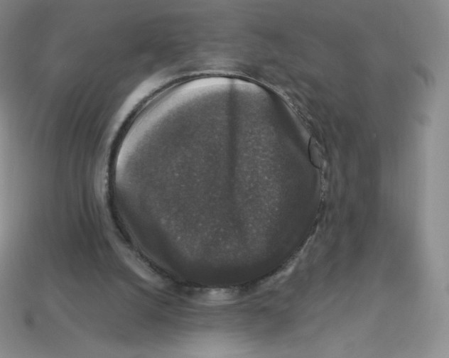 X0000113280056200910131014