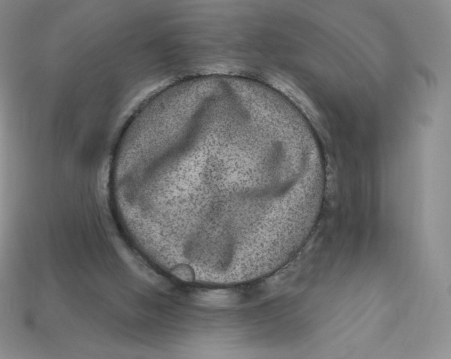 X0000113280058200910131014