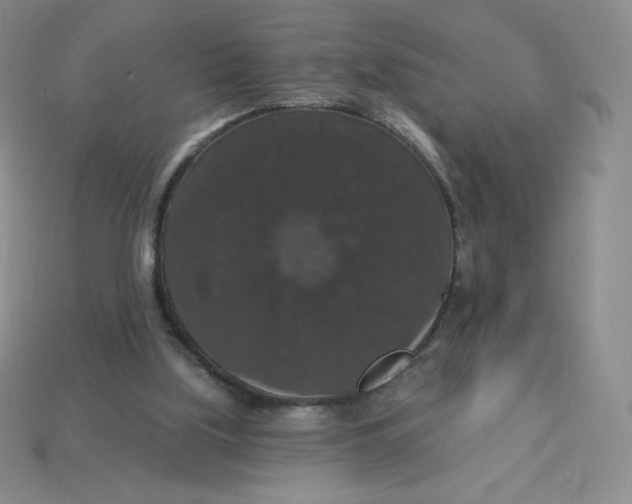 X0000113280059200910131014