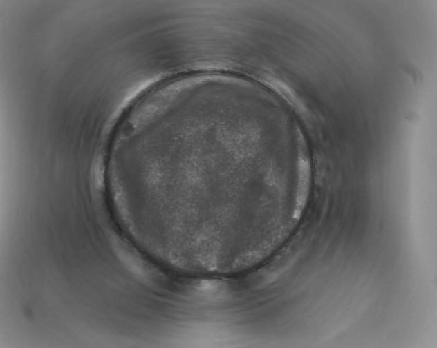 X0000113280060200910131014