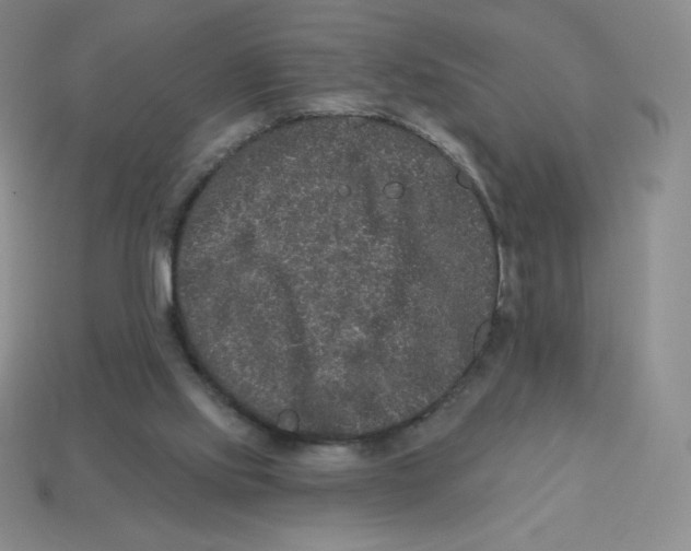 X0000113280061200910131014