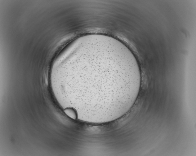 X0000113280062200910131014