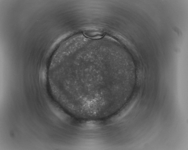 X0000113280064200910131014