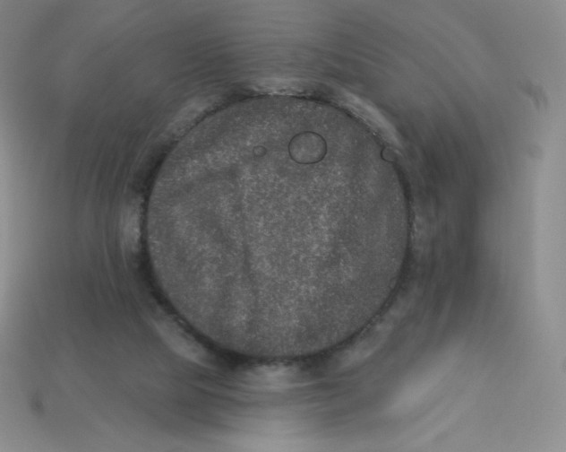 X0000113280065200910131014