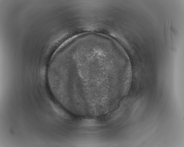 X0000113280066200910131014