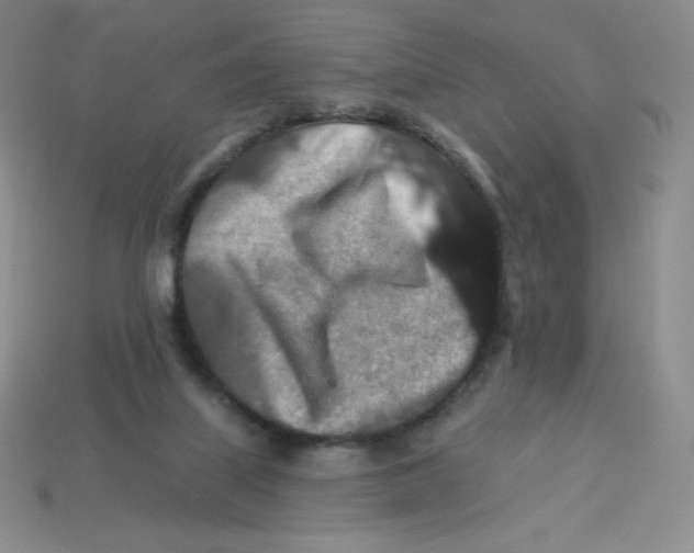 X0000113280067200910131014