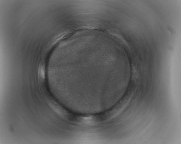 X0000113280068200910131014