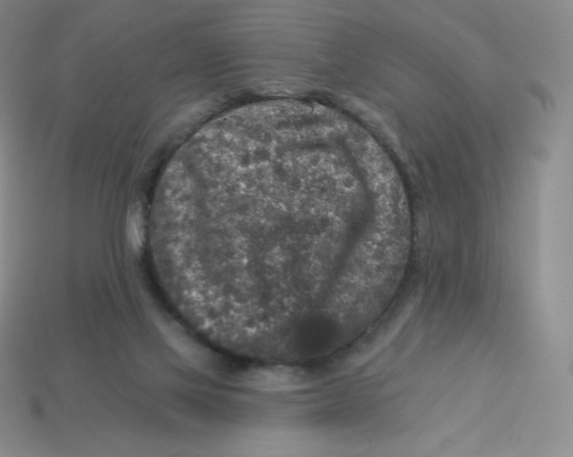 X0000113280069200910131014