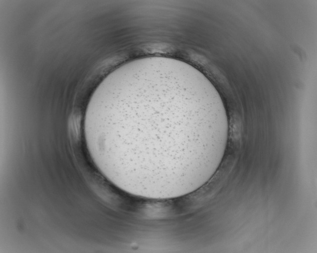 X0000113280070200910131014