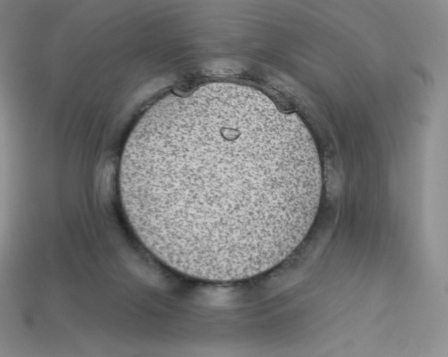 X0000113280071200910131014