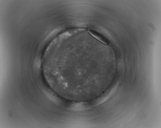 X0000113280072200910131014