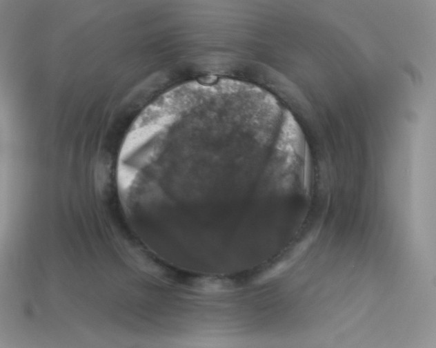 X0000113280073200910131014