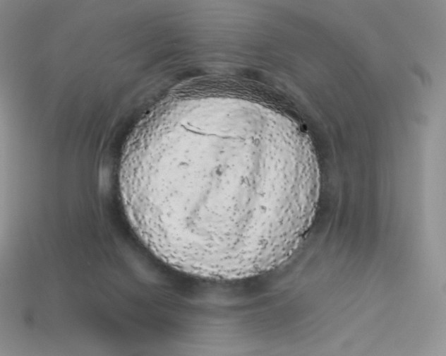 X0000113280074200910131014