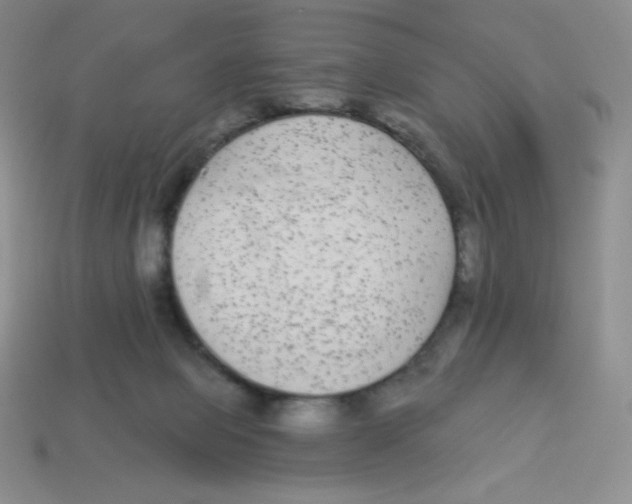 X0000113280077200910131014