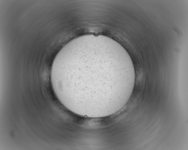 X0000113280078200910131014