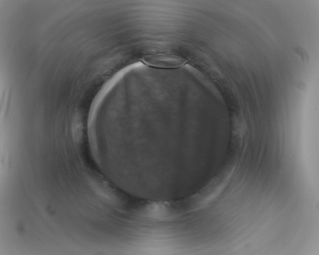 X0000113280080200910131014