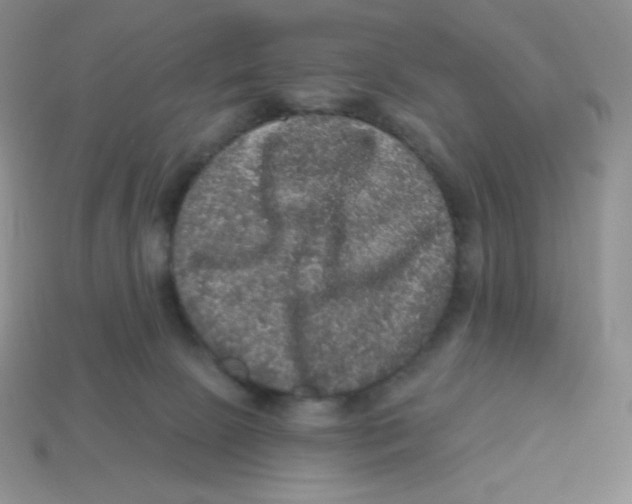 X0000113280081200910131014
