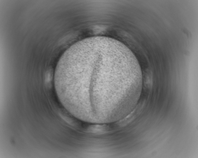 X0000113280082200910131014