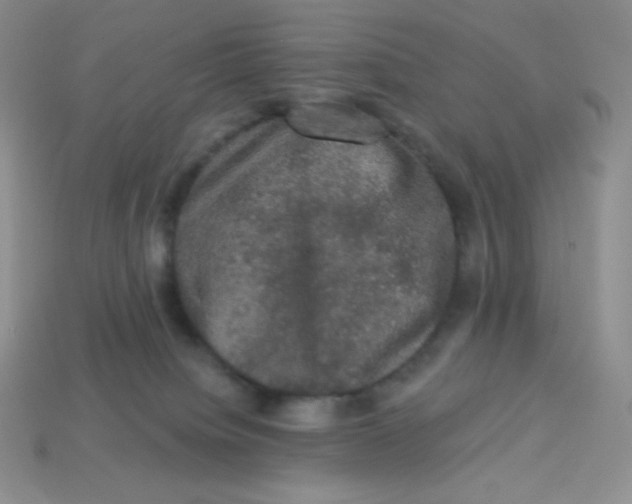 X0000113280084200910131014