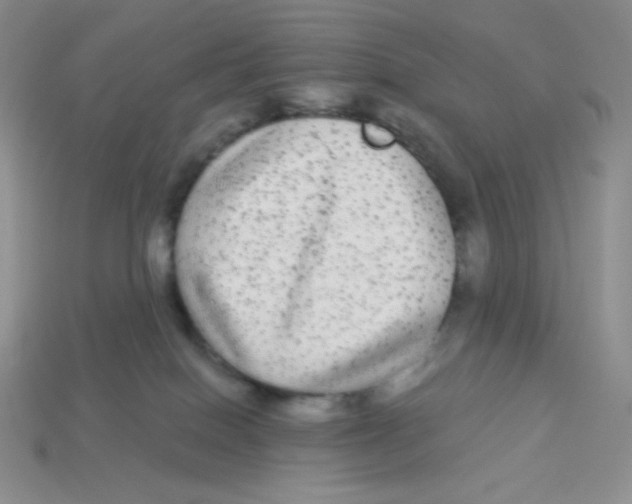 X0000113280086200910131014