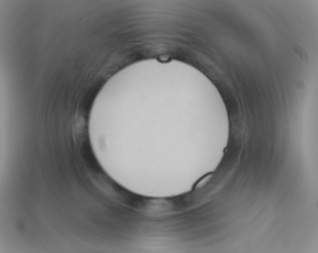 X0000113280087200910131015