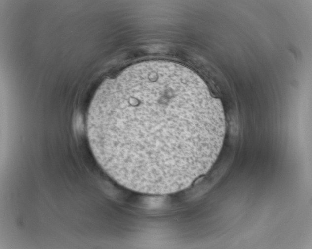X0000113280089200910131015