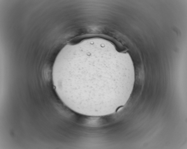 X0000113280090200910131015