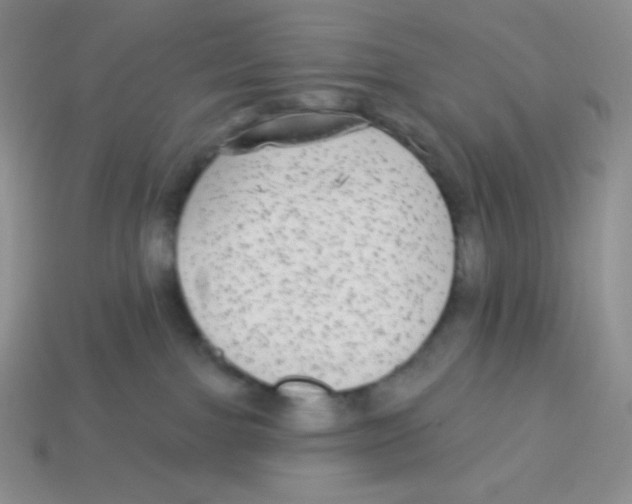 X0000113280091200910131015