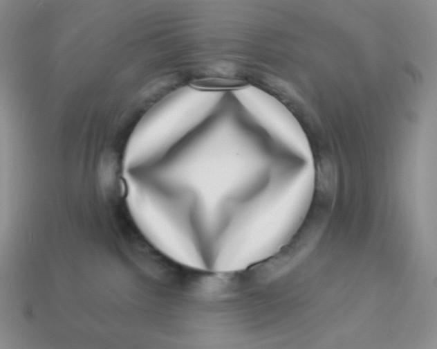 X0000113280092200910131015