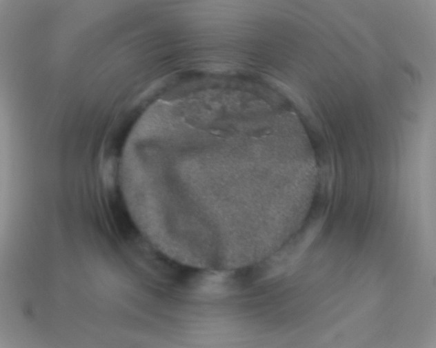 X0000113280093200910131015