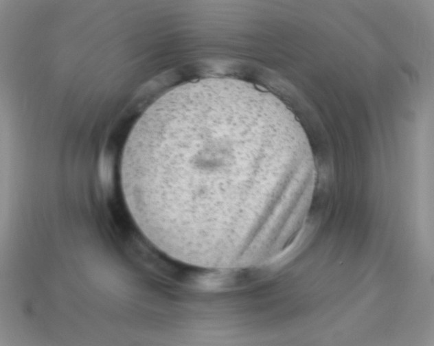 X0000113280094200910131015
