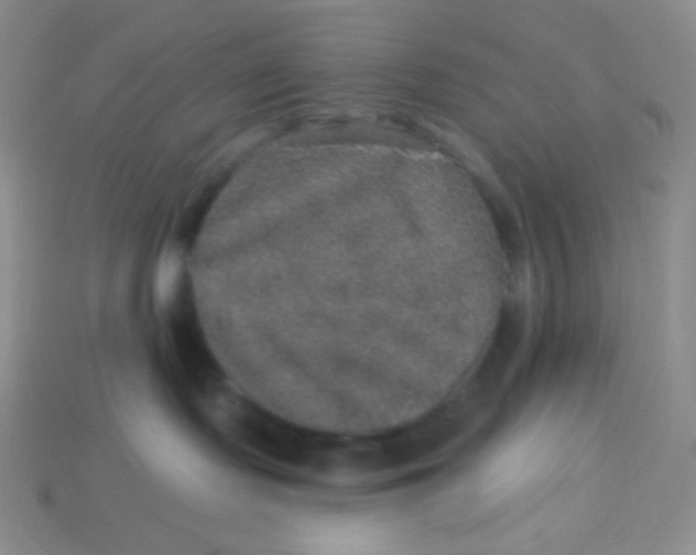 X0000113280095200910131015