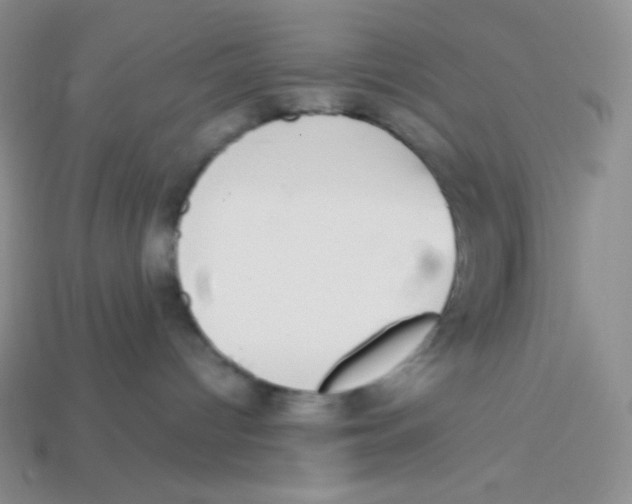 X0000113280096200910131015