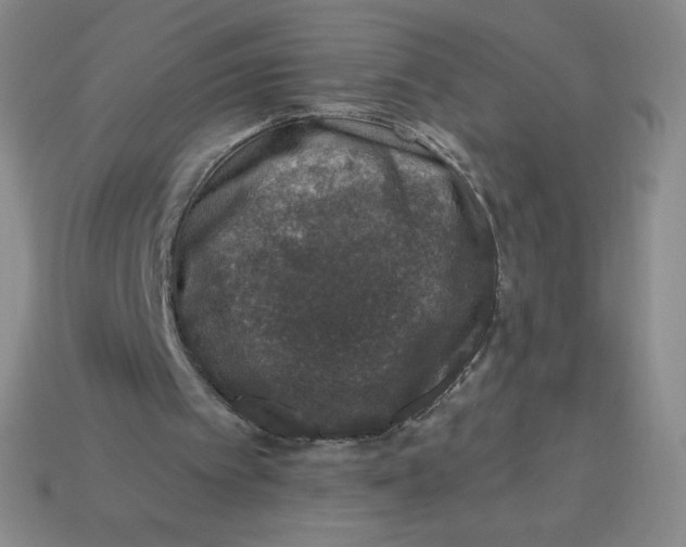 X0000113280097200910131014