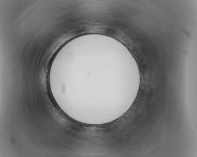 X0000113280098200910131014