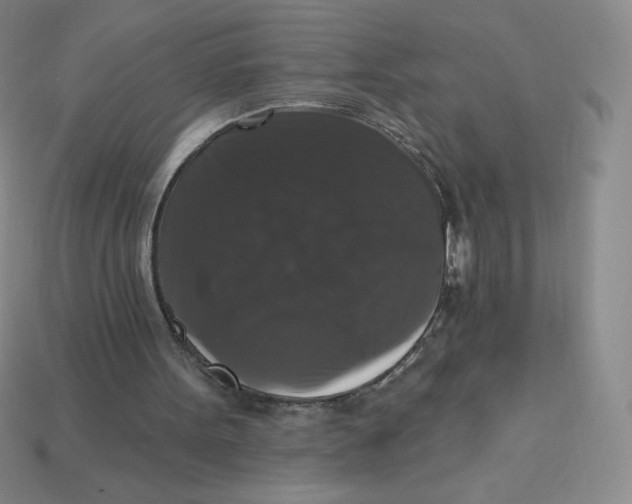 X0000113280099200910131014