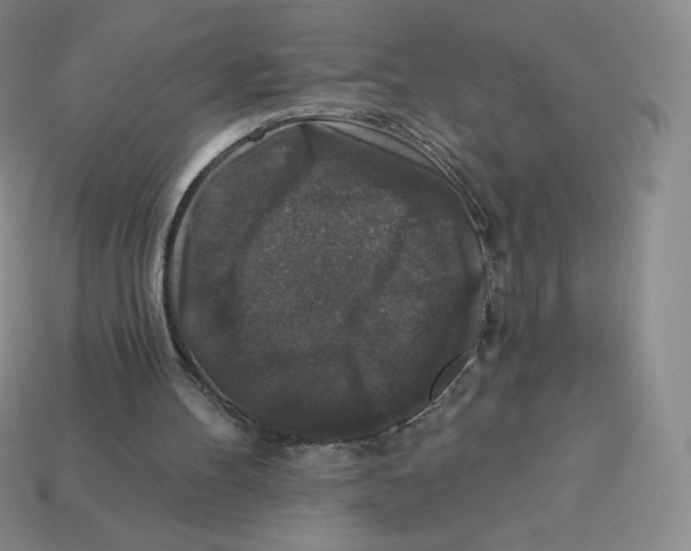 X0000113280100200910131014