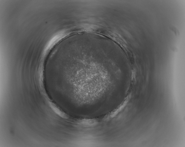 X0000113280101200910131014