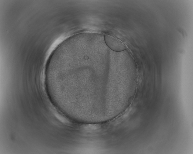 X0000113280102200910131014
