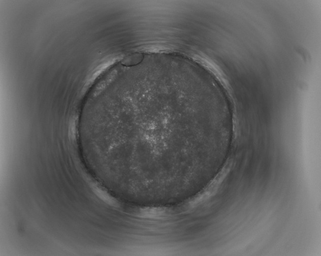 X0000113280105200910131014