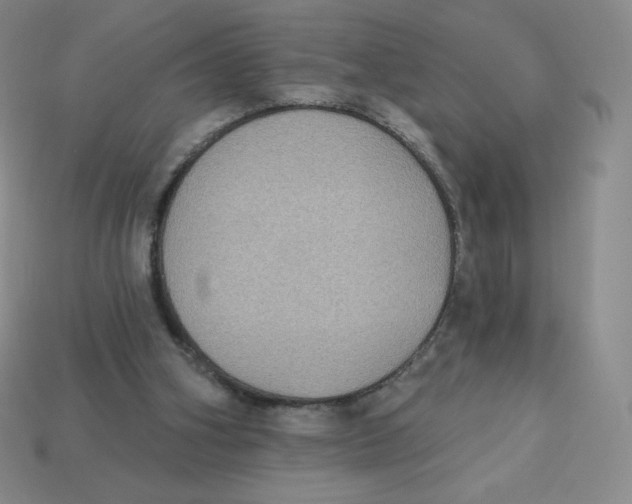 X0000113280106200910131014