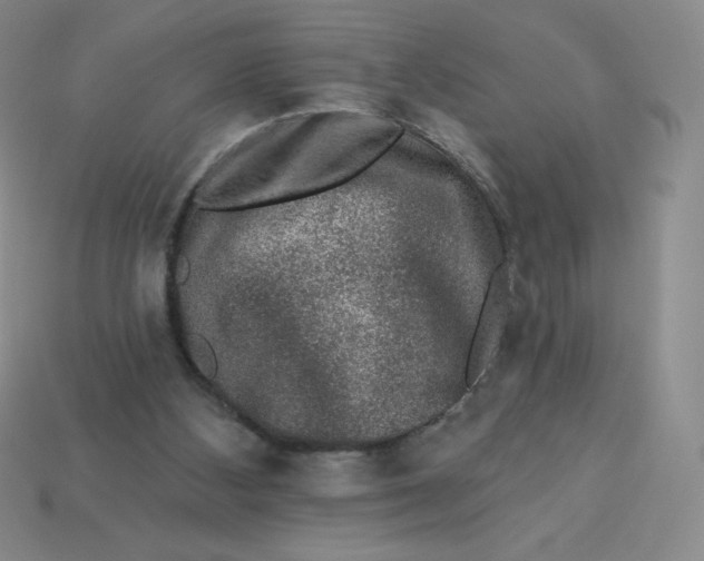X0000113280108200910131014